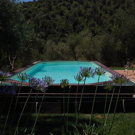 Bed and Breakfast Il Pino Vetulonia Екстер'єр фото