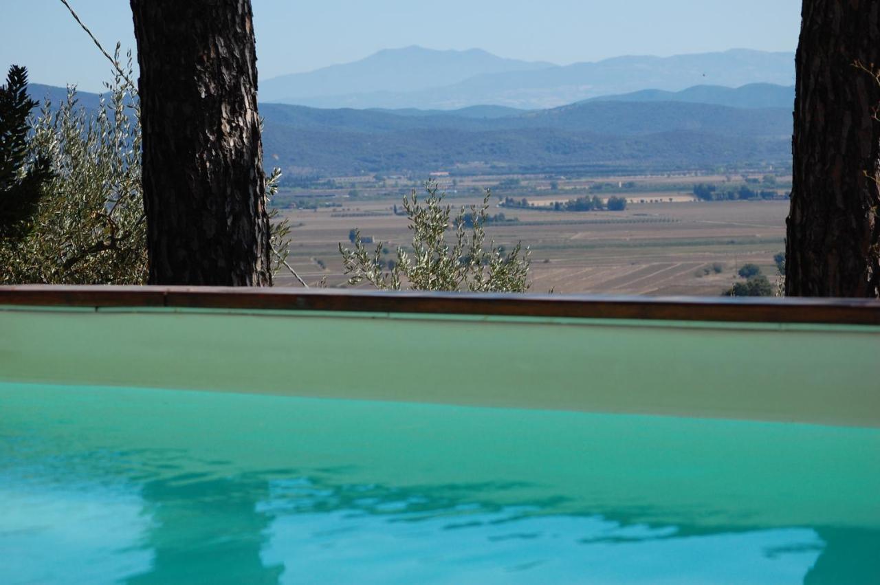 Bed and Breakfast Il Pino Vetulonia Екстер'єр фото