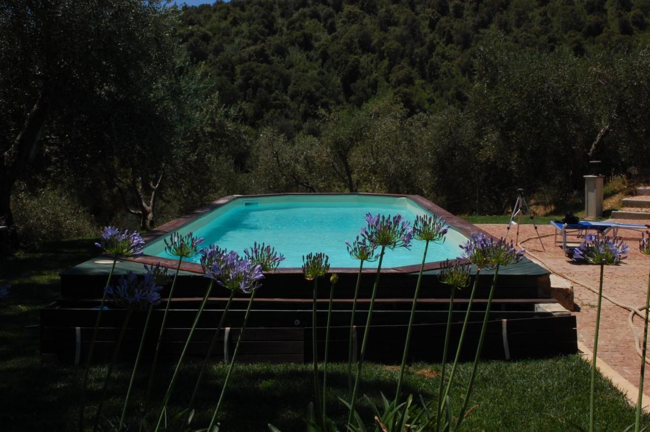 Bed and Breakfast Il Pino Vetulonia Екстер'єр фото