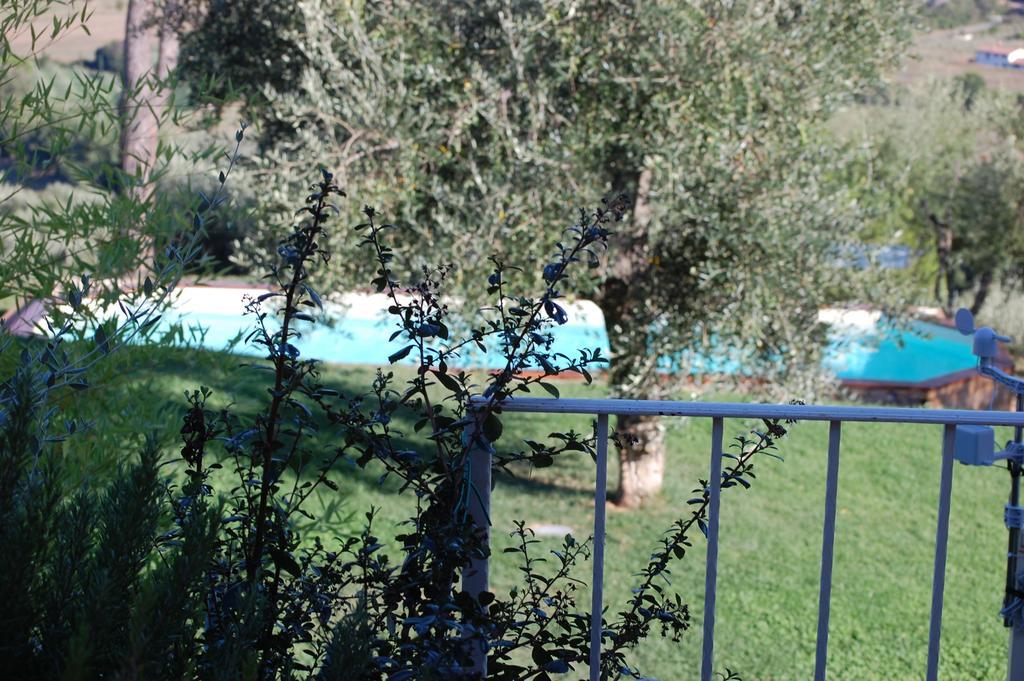 Bed and Breakfast Il Pino Vetulonia Екстер'єр фото