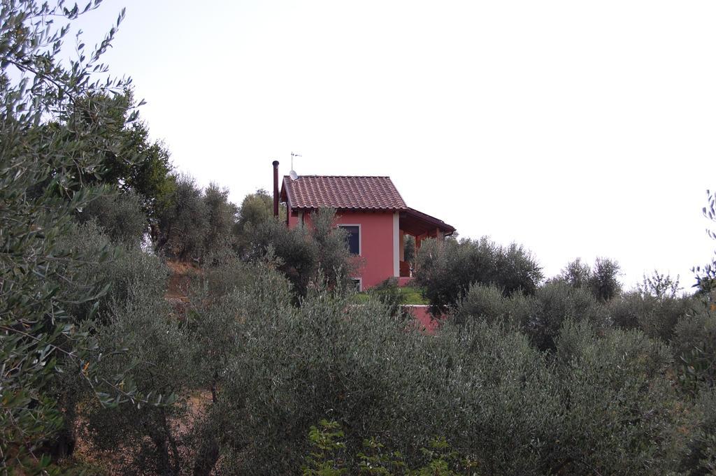 Bed and Breakfast Il Pino Vetulonia Екстер'єр фото