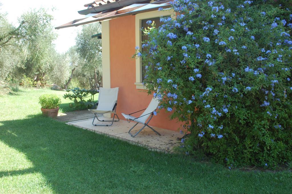 Bed and Breakfast Il Pino Vetulonia Номер фото