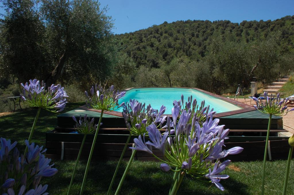 Bed and Breakfast Il Pino Vetulonia Екстер'єр фото
