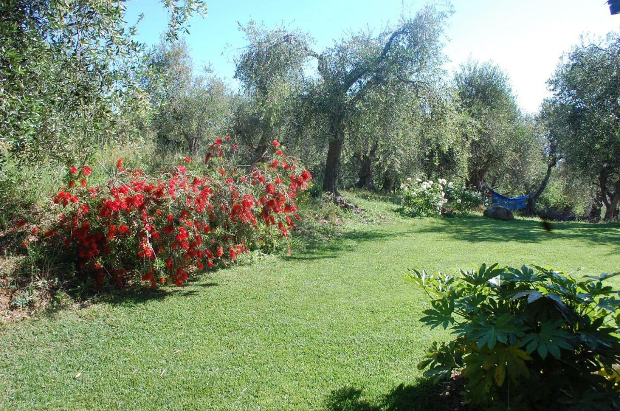Bed and Breakfast Il Pino Vetulonia Екстер'єр фото